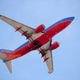 Image for article titled Southwest live-tweeted an NCAA game to a passenger when their in-air Wi-Fi couldn't stream it